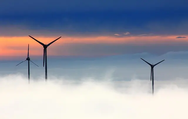 Les marques du monde qui célèbrent l'innovation durable