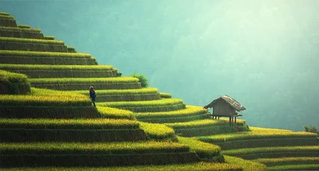 Marques du Monde : Les Leaders de l'Innovation Durable