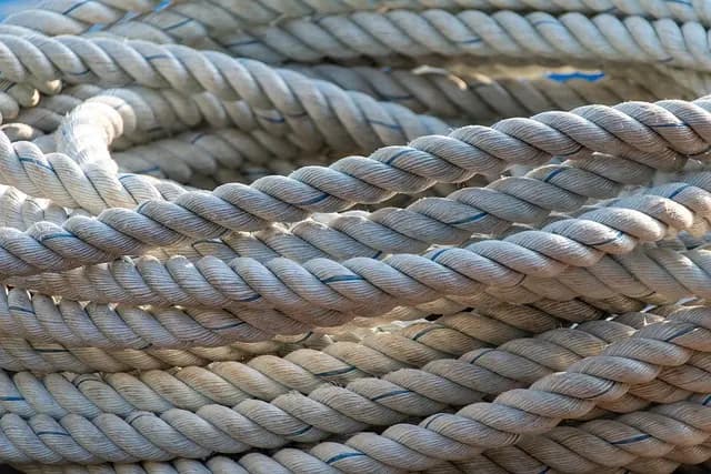 Les marques du monde qui célèbrent l'innovation durable