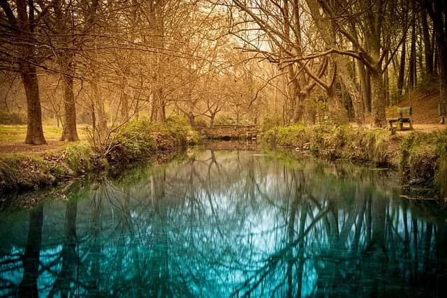 Les marques du monde qui redéfinissent l'expérience client