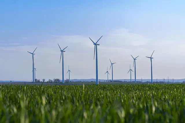 Les marques du monde connues pour leur impact environnemental