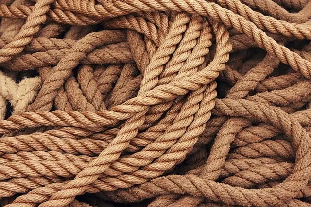 Les marques du monde qui innovent en matière de durabilité