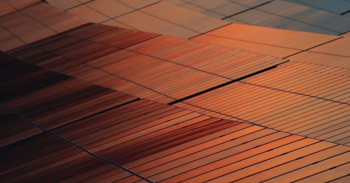Les Marques du Monde qui Redéfinissent l'Innovation Durable
