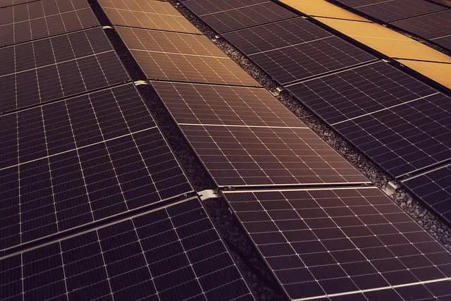 Les marques du monde à découvrir : icônes et tendances