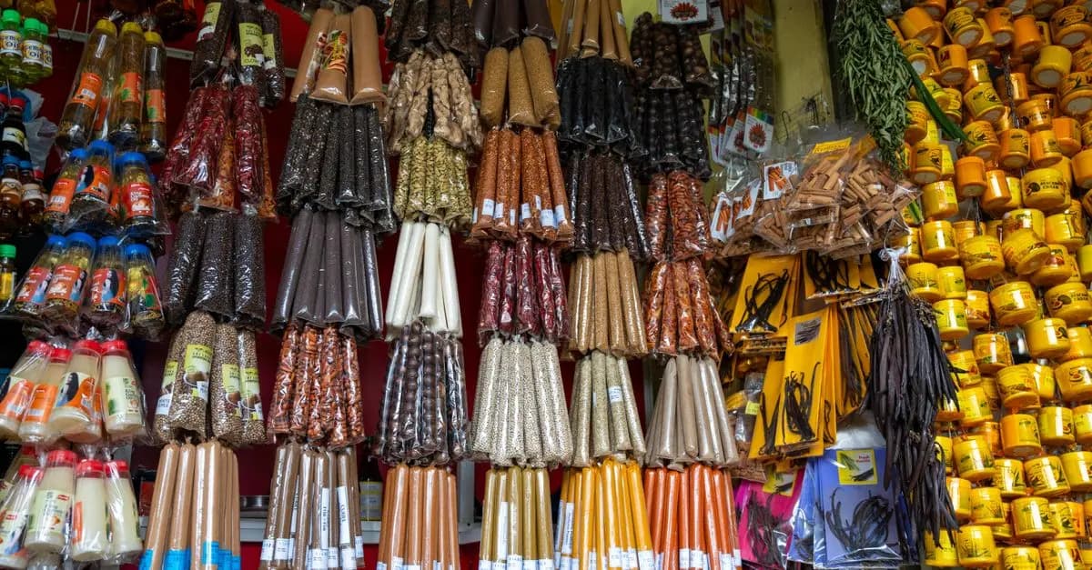 Les marques du monde à découvrir : Icônes et tendances
