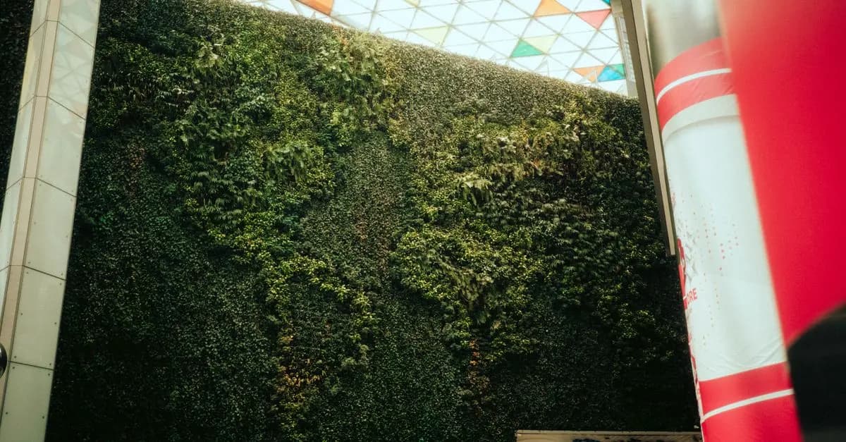 Les marques du monde qui inspirent l'innovation sociale
