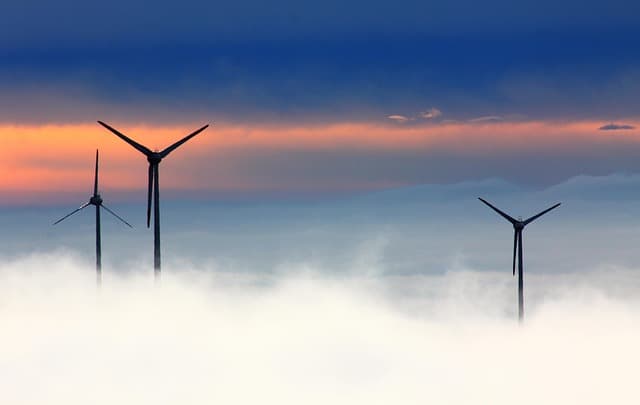 Les marques du monde à suivre pour l'innovation durable